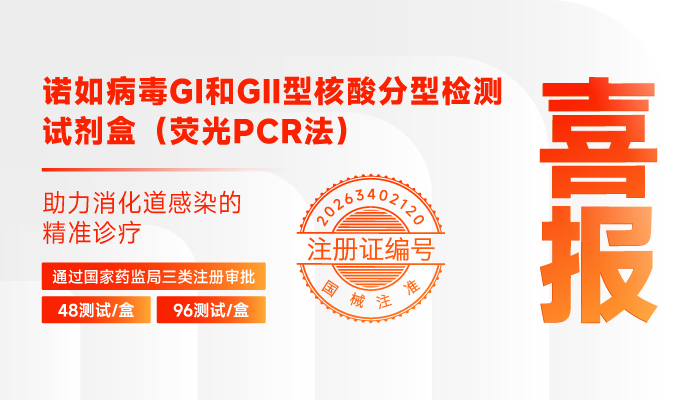 诺如病毒